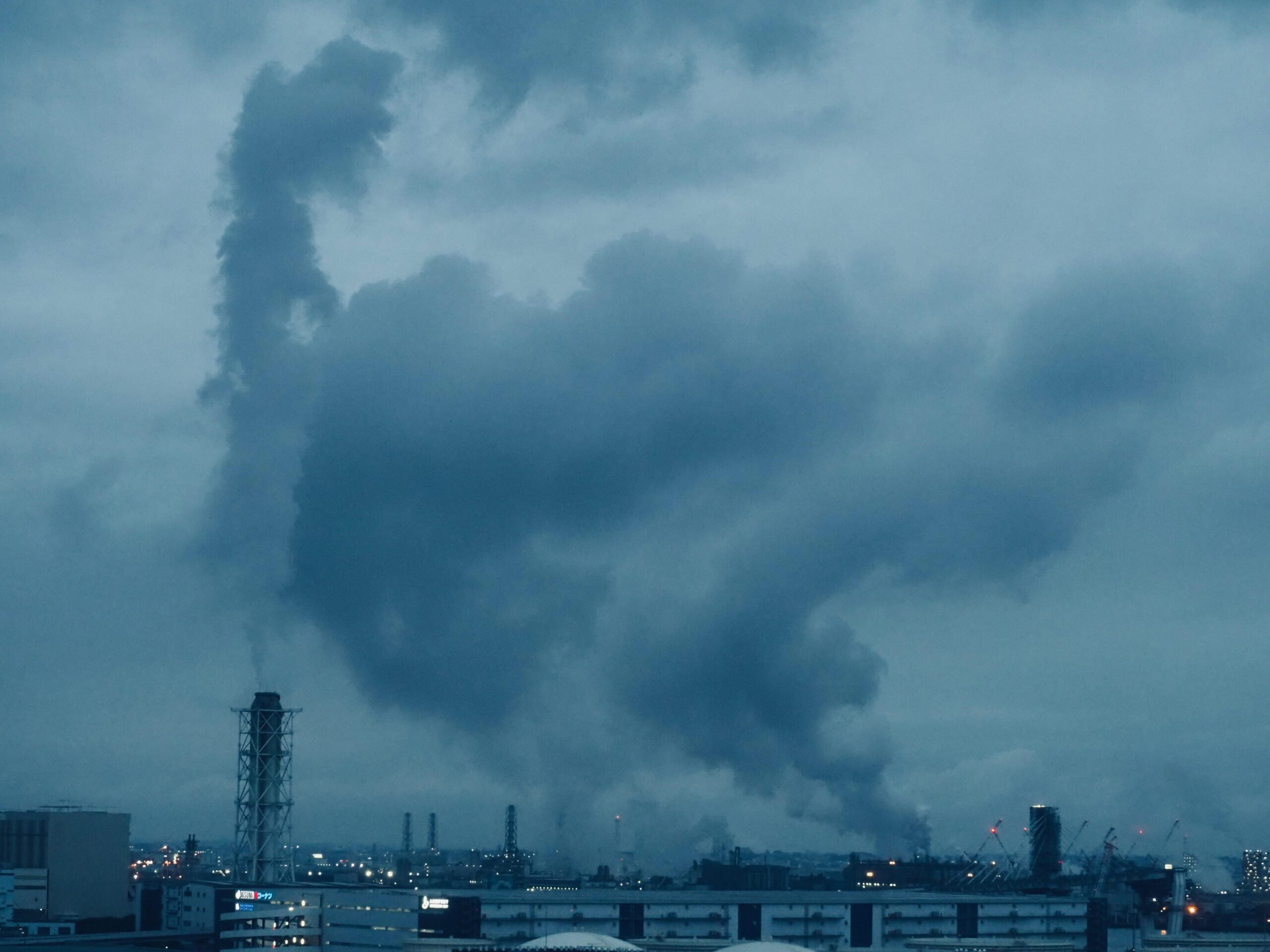 The rise of environmental chemicals and fatigue