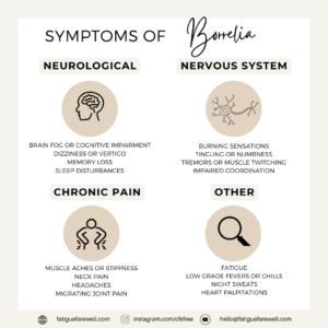 Symptoms of Borrelia and Lyme Disease